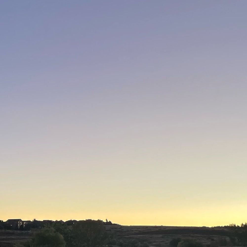 Meet your Posher, Ava